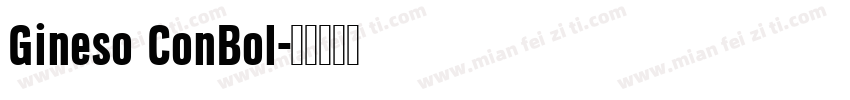 Gineso ConBol字体转换